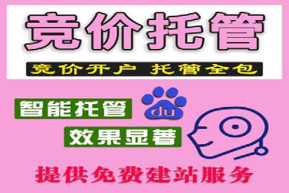 推广竞价实战技巧：成功案例教你如何制定策略